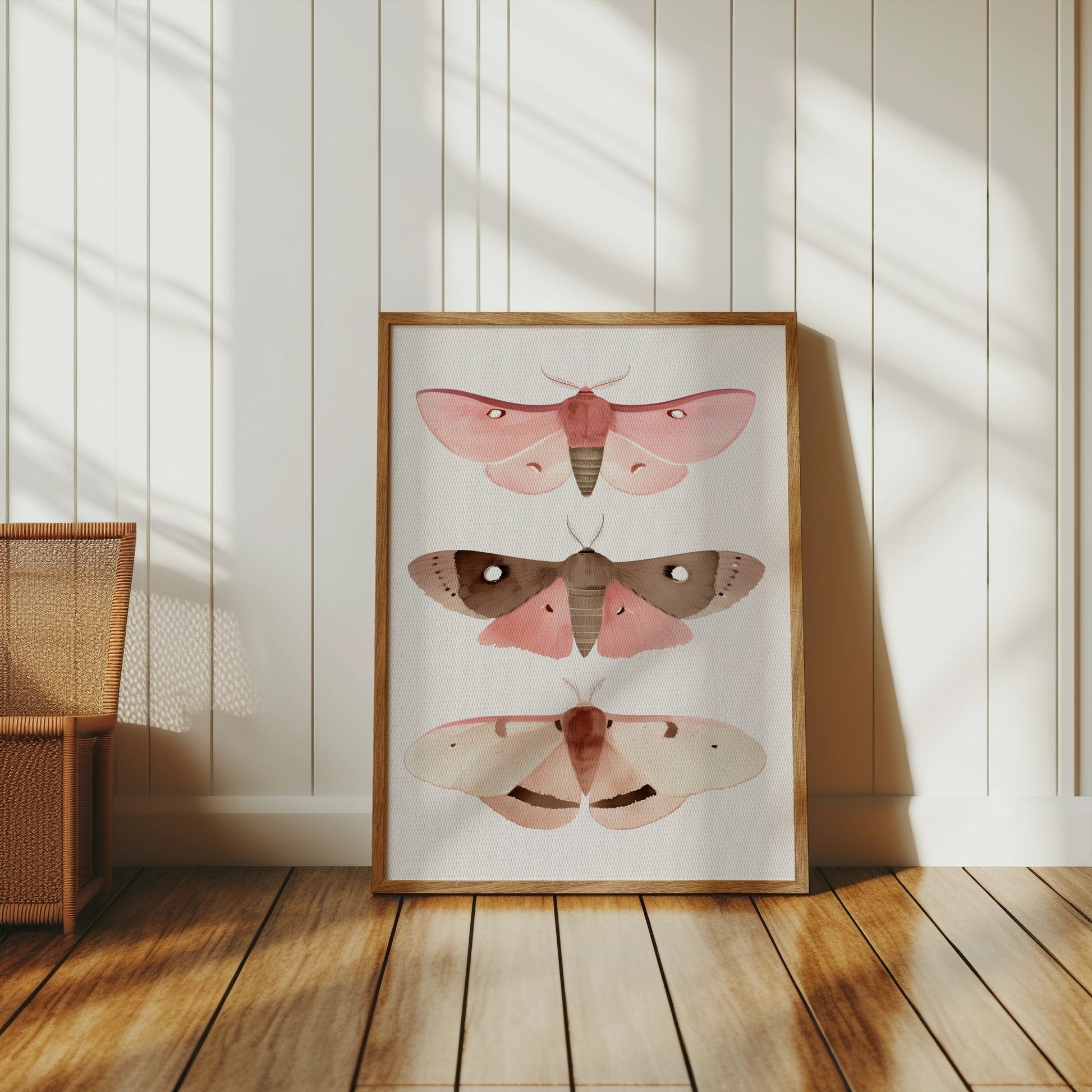 Premium Poster of Beautiful Colored Moth Illustrations Art Print Posters
