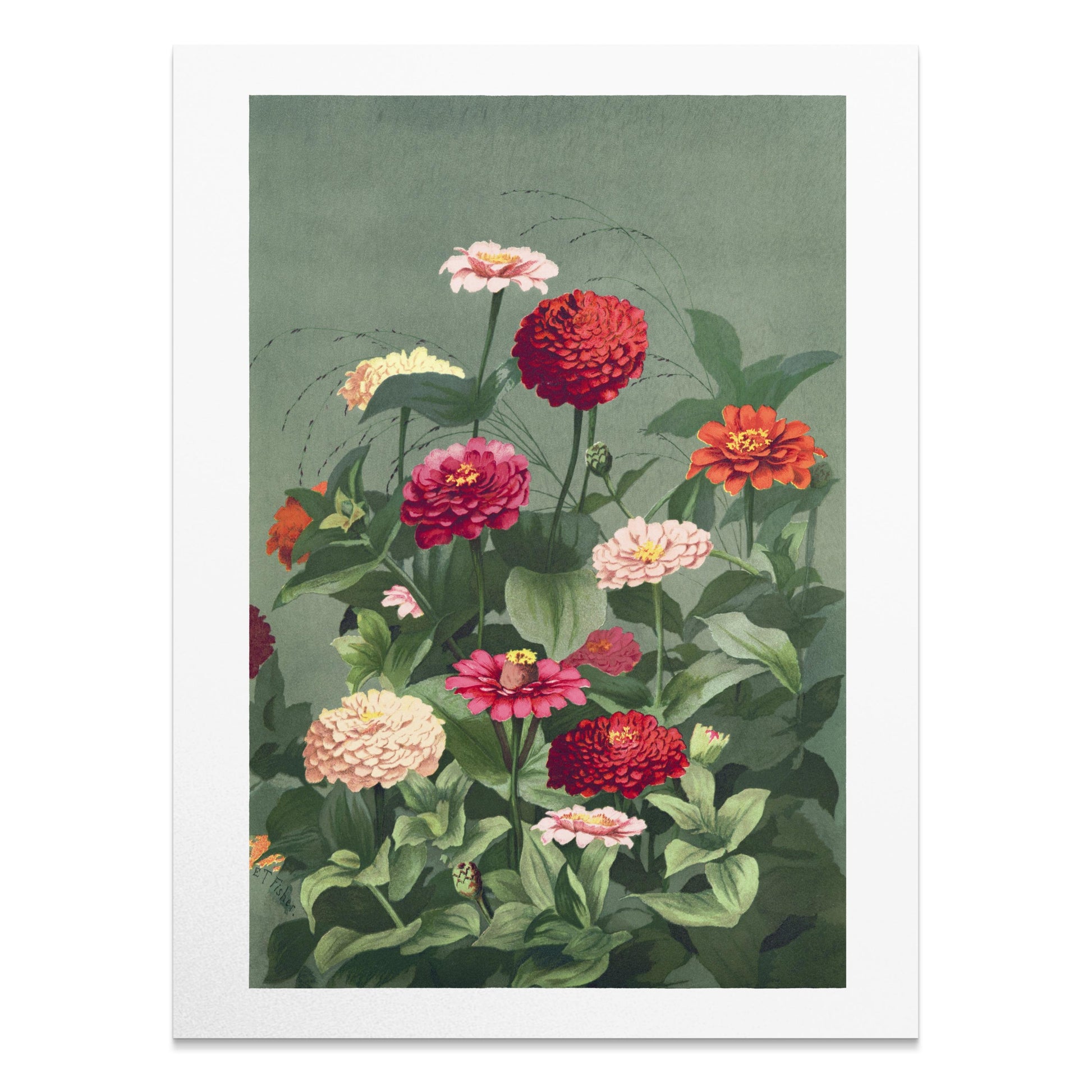 Premium Poster of Beautiful Colorful Flower Bouquet Art Print Posters