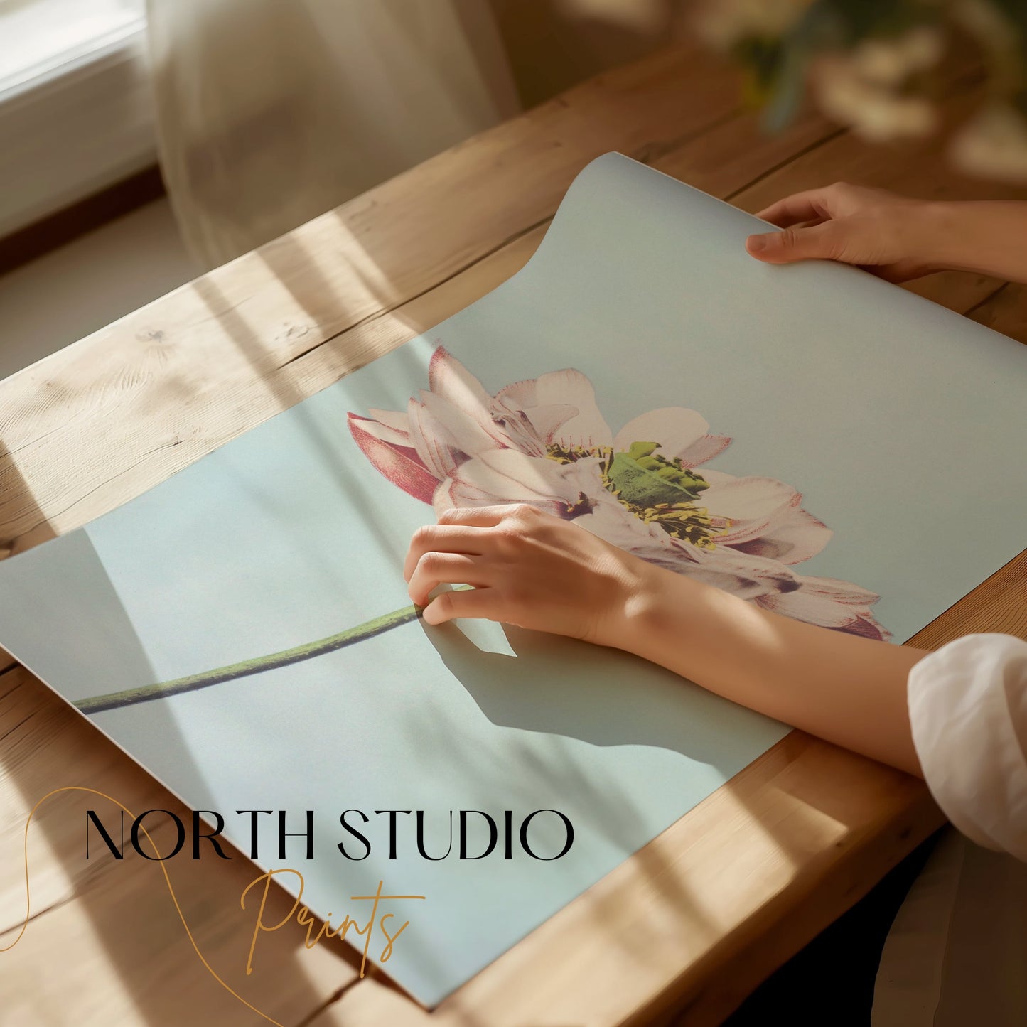 Premium Poster of Beautiful Detailed Flower With Pastel Background Posters