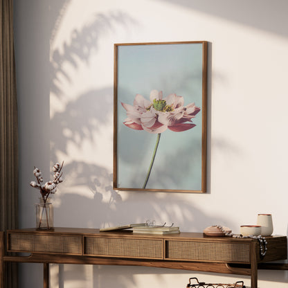 Premium Poster of Beautiful Detailed Flower With Pastel Background Posters