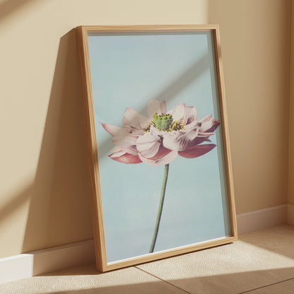 Premium Poster of Beautiful Detailed Flower With Pastel Background Posters