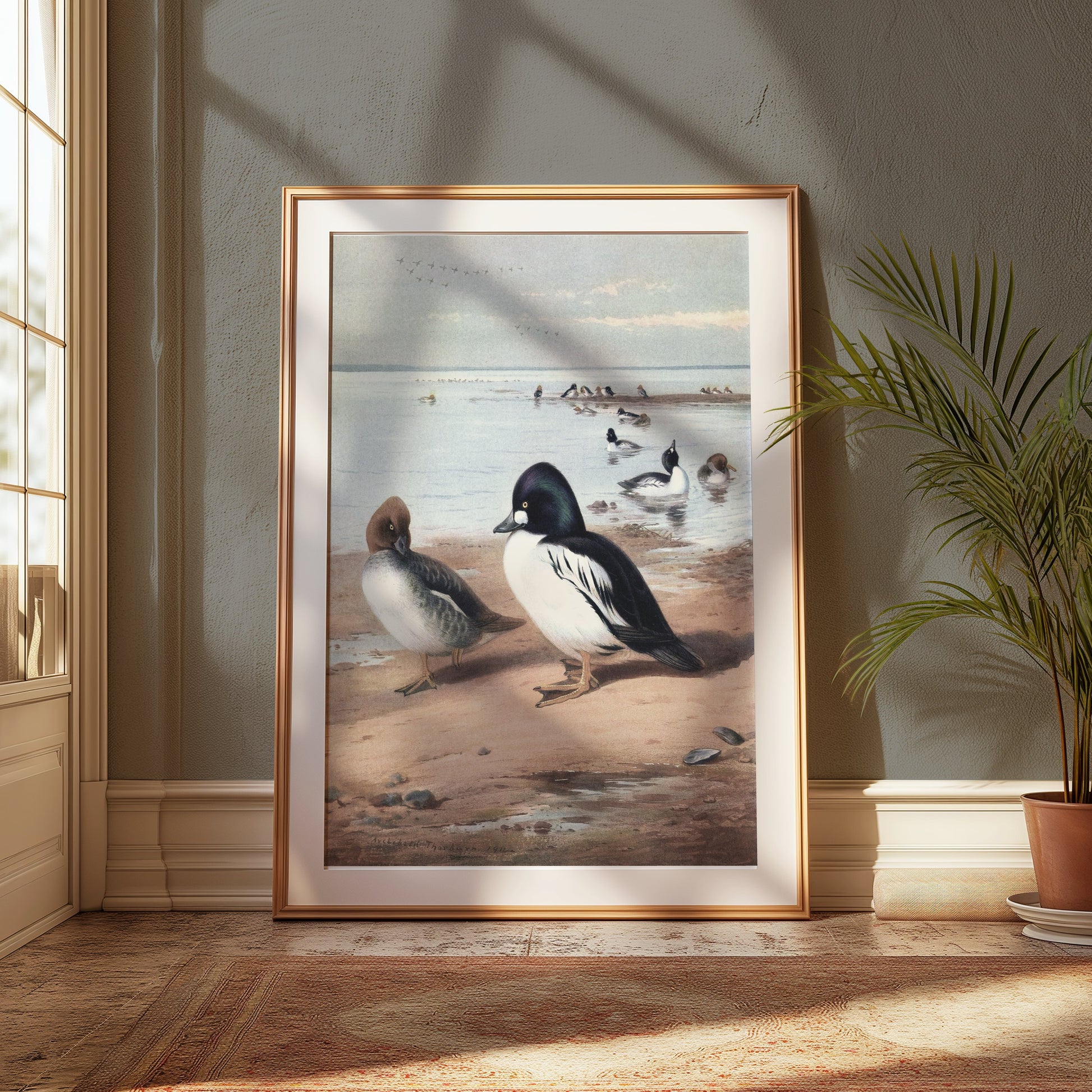 Premium Poster of Beautiful Ducks at Seaside Waterfowl Nature Art Posters
