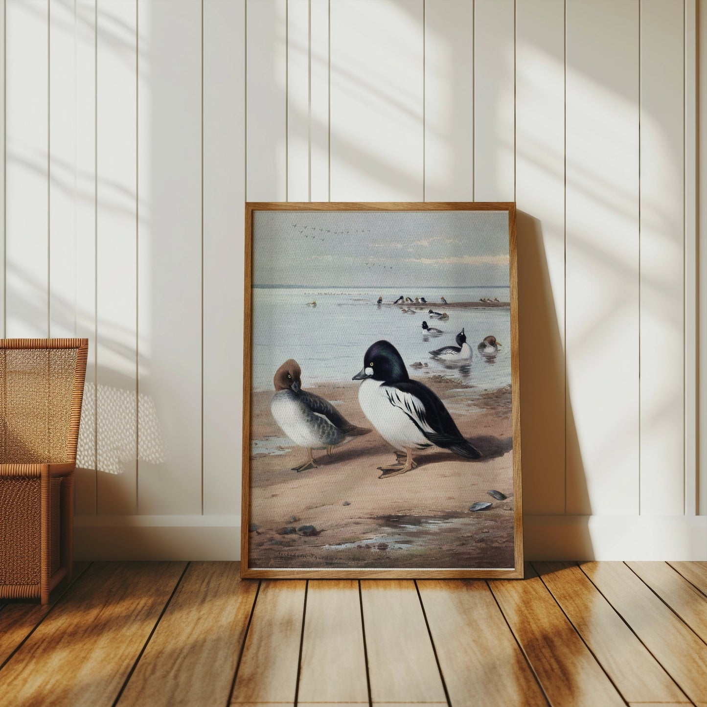 Premium Poster of Beautiful Ducks at Seaside Waterfowl Nature Art Posters