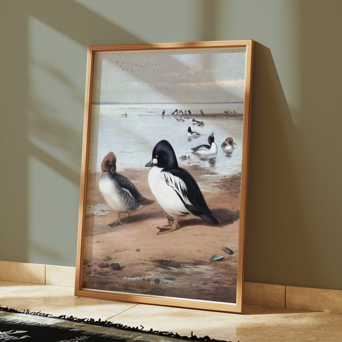 Premium Poster of Beautiful Ducks at Seaside Waterfowl Nature Art Posters