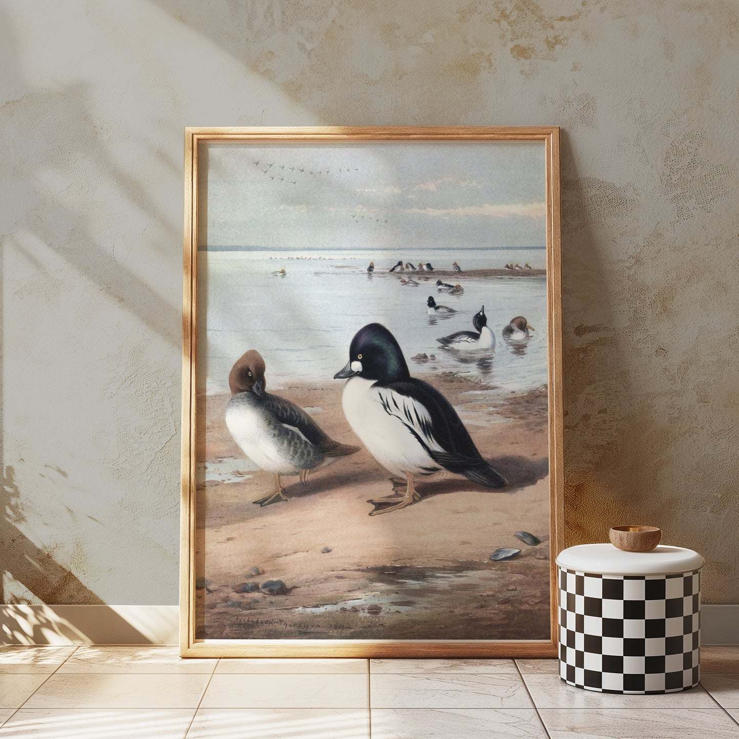 Premium Poster of Beautiful Ducks at Seaside Waterfowl Nature Art Posters