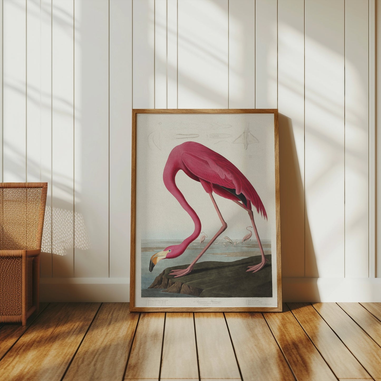 Premium Poster of Beautiful Flamingo Illustration Vintage Style Posters