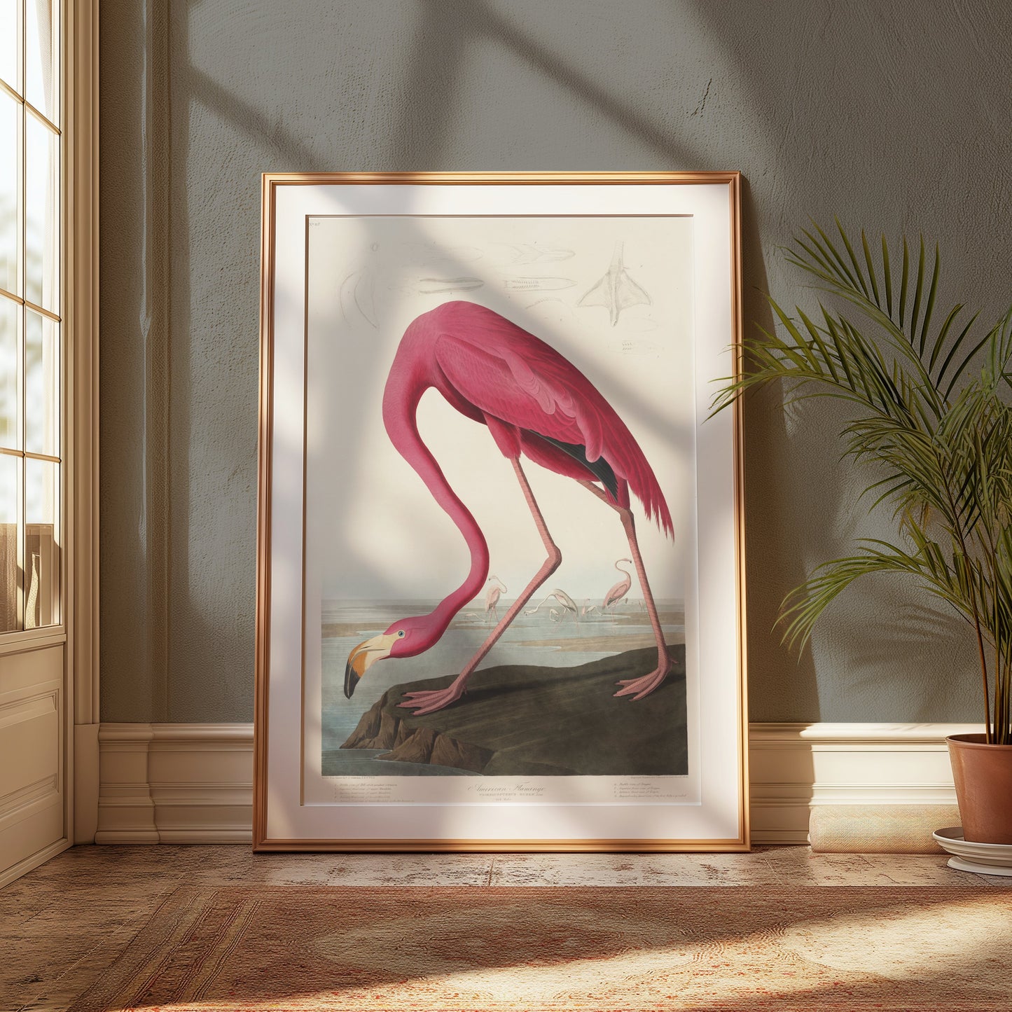 Premium Poster of Beautiful Flamingo Illustration Vintage Style Posters