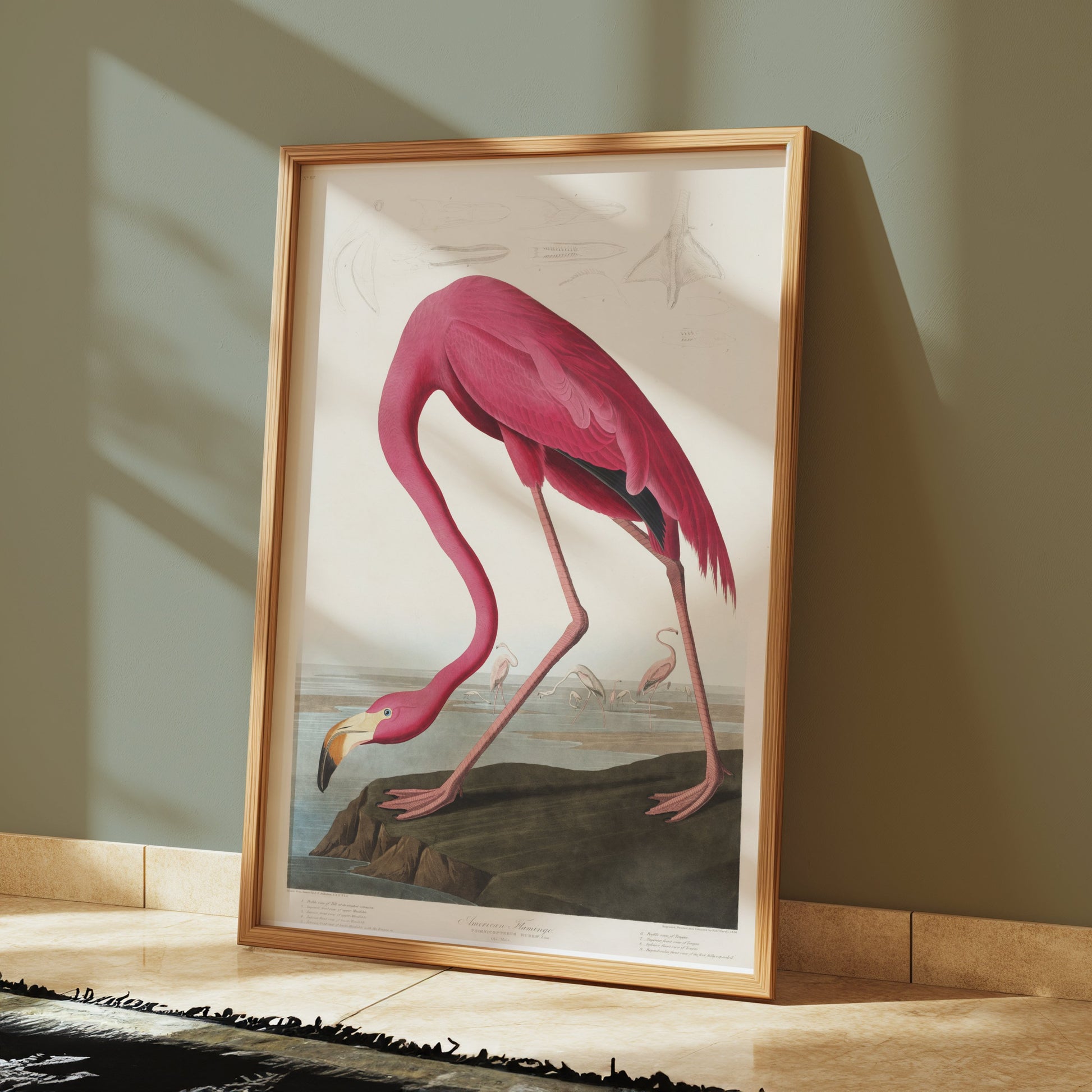 Premium Poster of Beautiful Flamingo Illustration Vintage Style Posters