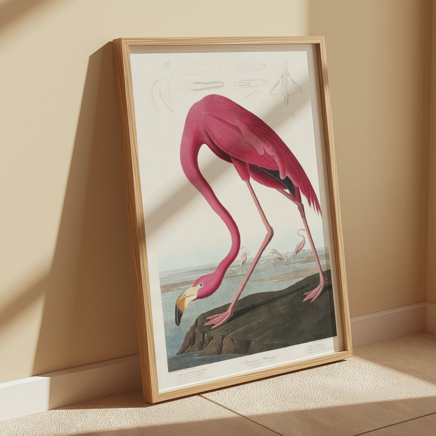 Premium Poster of Beautiful Flamingo Illustration Vintage Style Posters