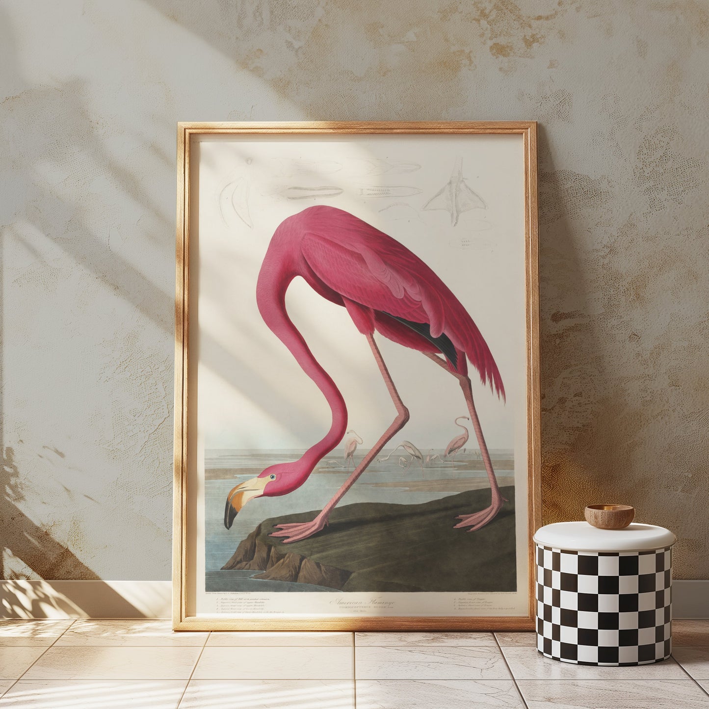 Premium Poster of Beautiful Flamingo Illustration Vintage Style Posters