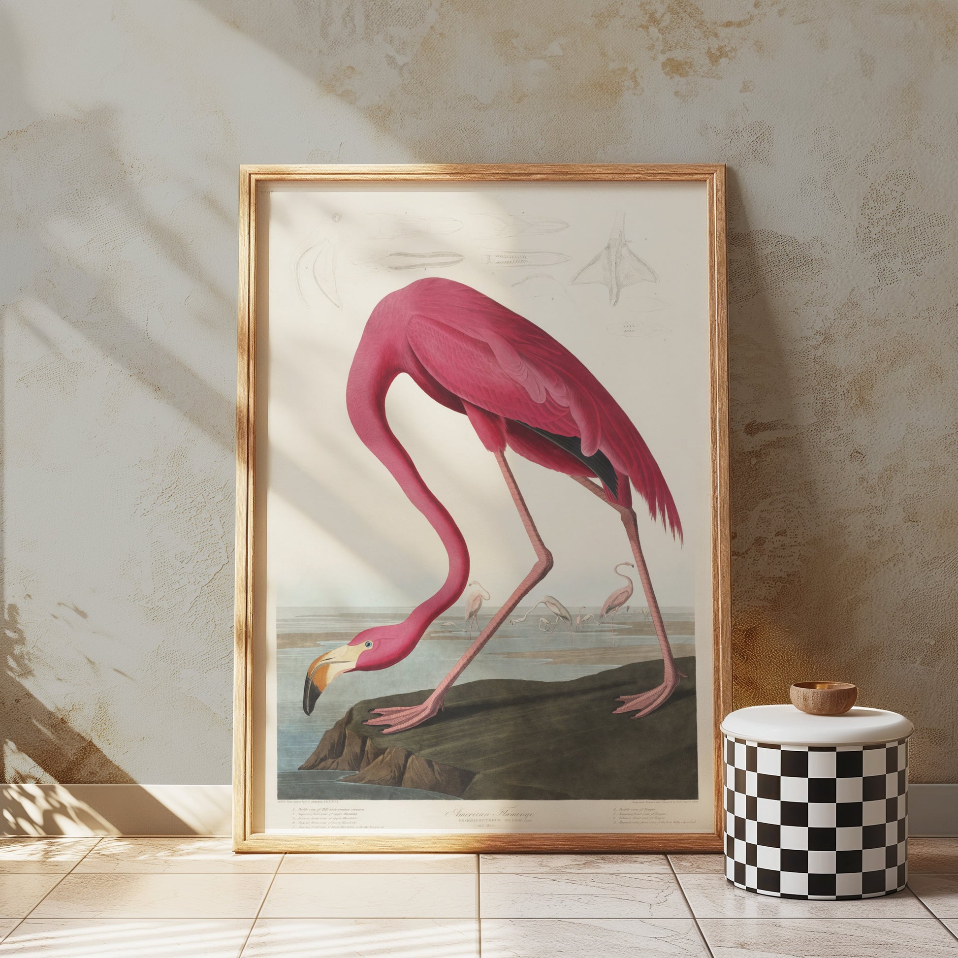 Premium Poster of Beautiful Flamingo Illustration Vintage Style Posters