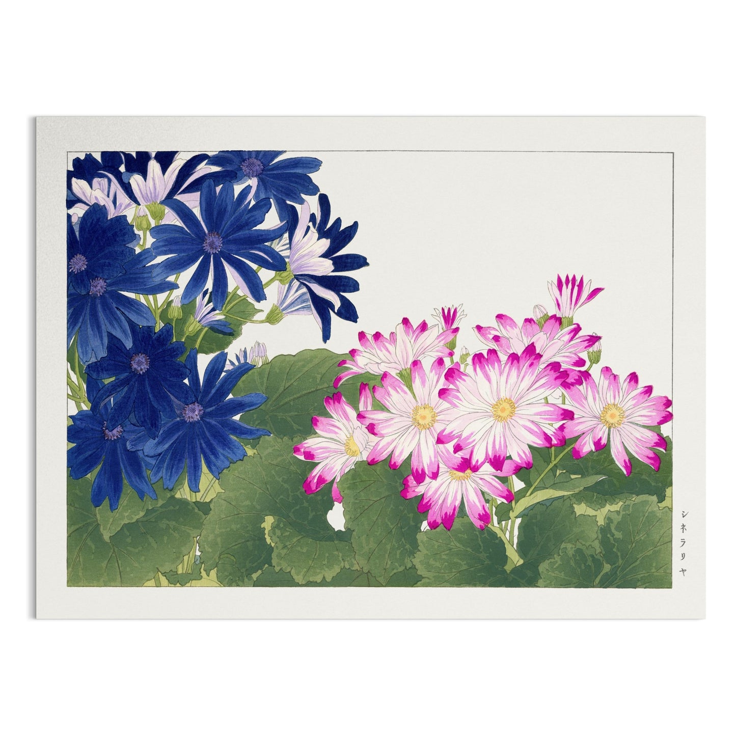Premium Poster of Beautiful Floral Collection Japanese Style Art Posters