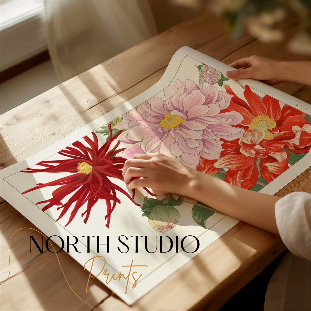 Premium Poster of Beautiful Floral Illustration Artwork Posters