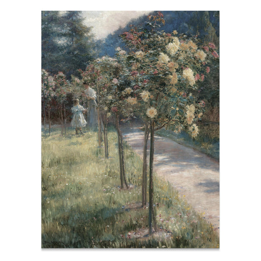 Premium Poster of Beautiful Garden Pathway Under Bright Sunlight Posters