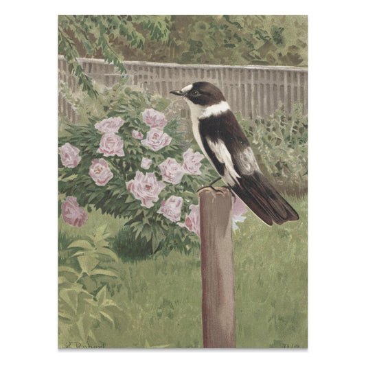 Premium Poster of Beautiful Garden Scene with Bird and Flowers Posters