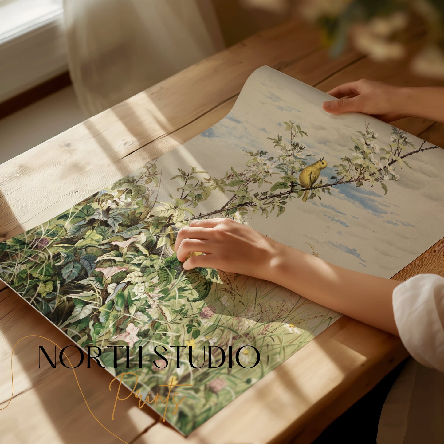 Premium Poster of Beautiful Garden Scene with Birds Artwork Posters