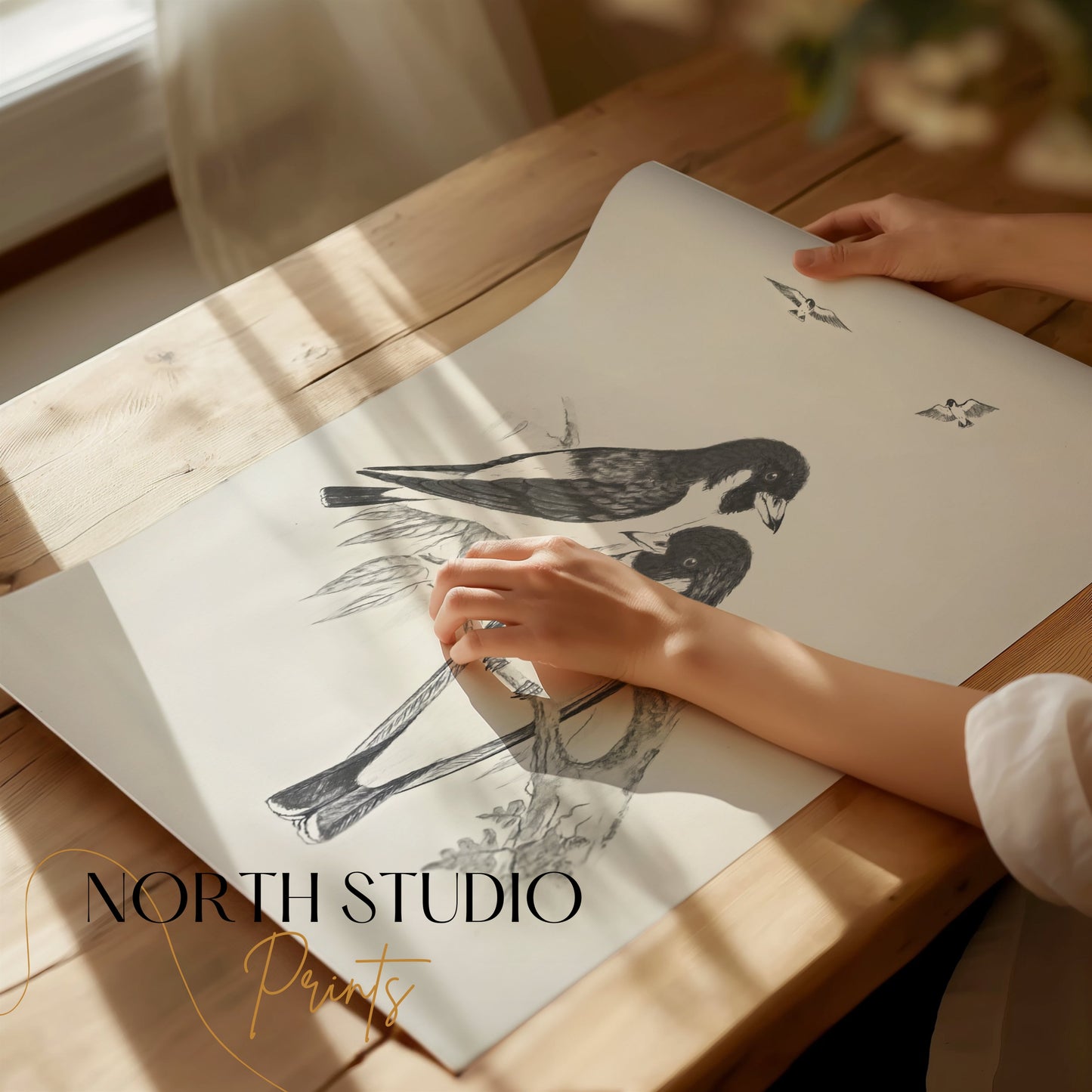 Premium Poster of Beautiful Hand-Drawn Bird Illustration Art Posters