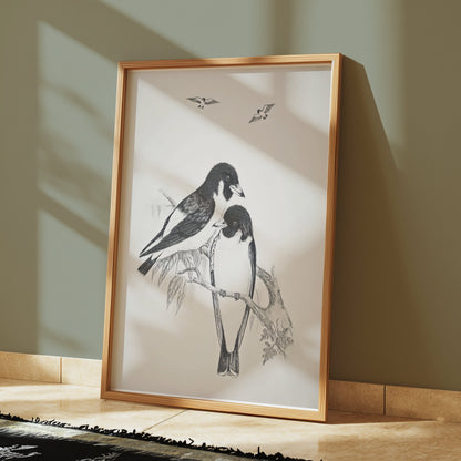 Premium Poster of Beautiful Hand-Drawn Bird Illustration Art Posters
