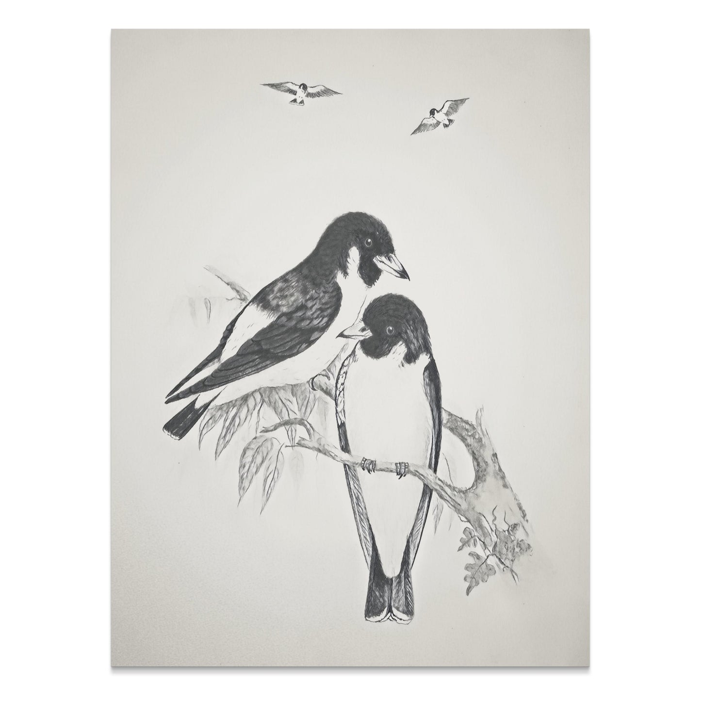 Premium Poster of Beautiful Hand-Drawn Bird Illustration Art Posters