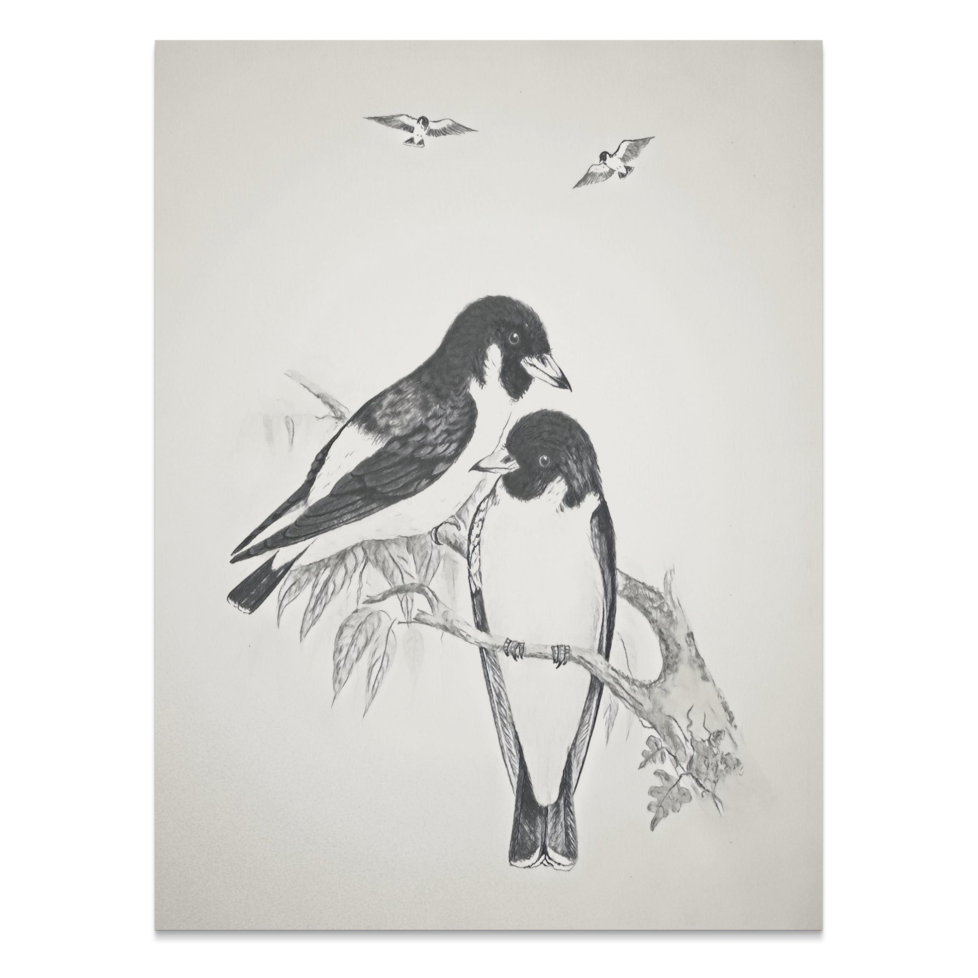 Premium Poster of Beautiful Hand-Drawn Bird Illustration Art Posters