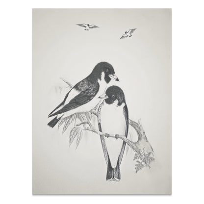 Premium Poster of Beautiful Hand-Drawn Bird Illustration Art Posters