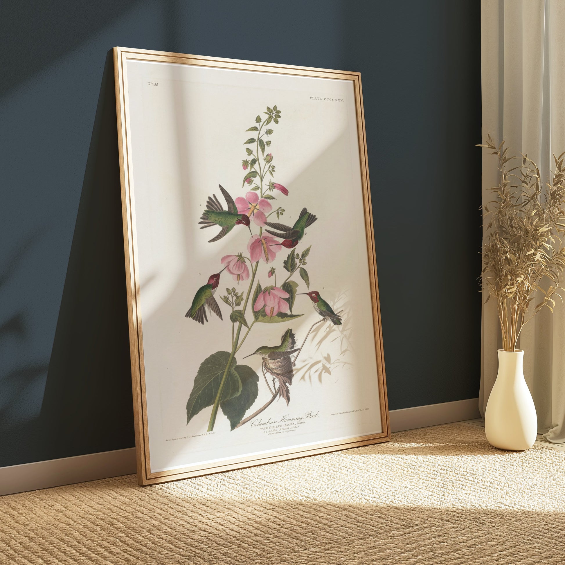 Premium Poster of Beautiful Hummingbirds and Flowers Illustrations Posters