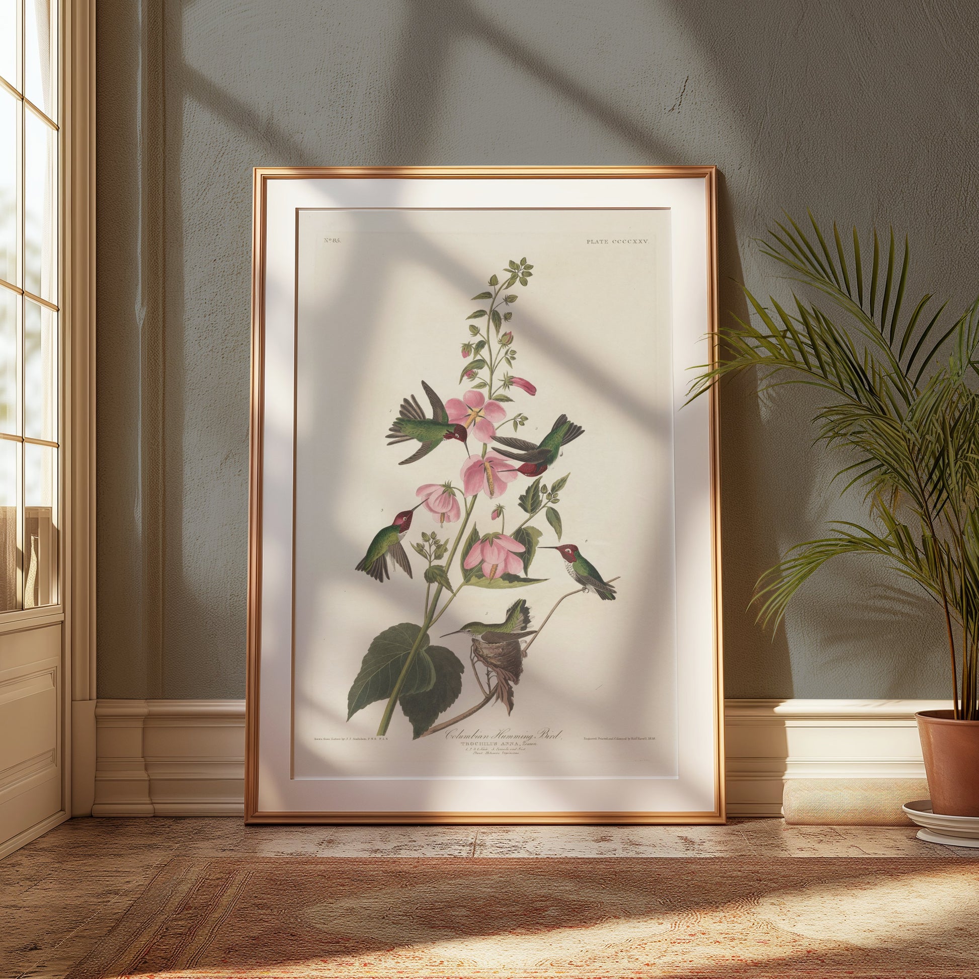 Premium Poster of Beautiful Hummingbirds and Flowers Illustrations Posters