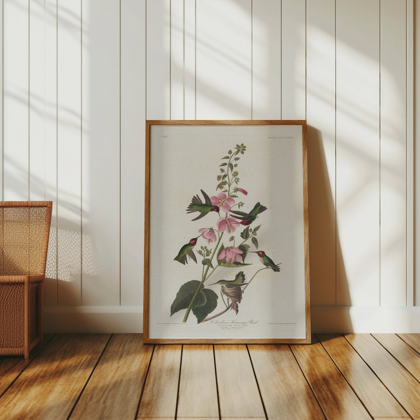 Premium Poster of Beautiful Hummingbirds and Flowers Illustrations Posters