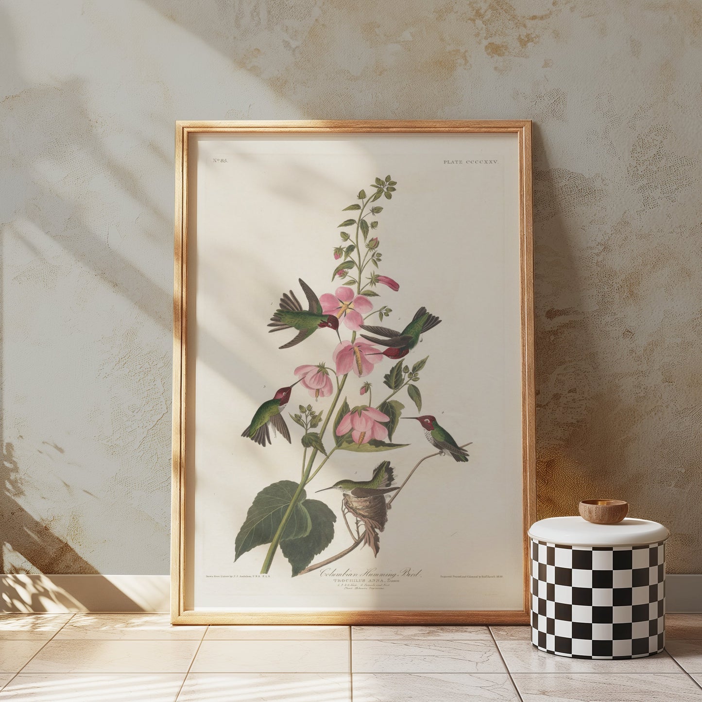 Premium Poster of Beautiful Hummingbirds and Flowers Illustrations Posters