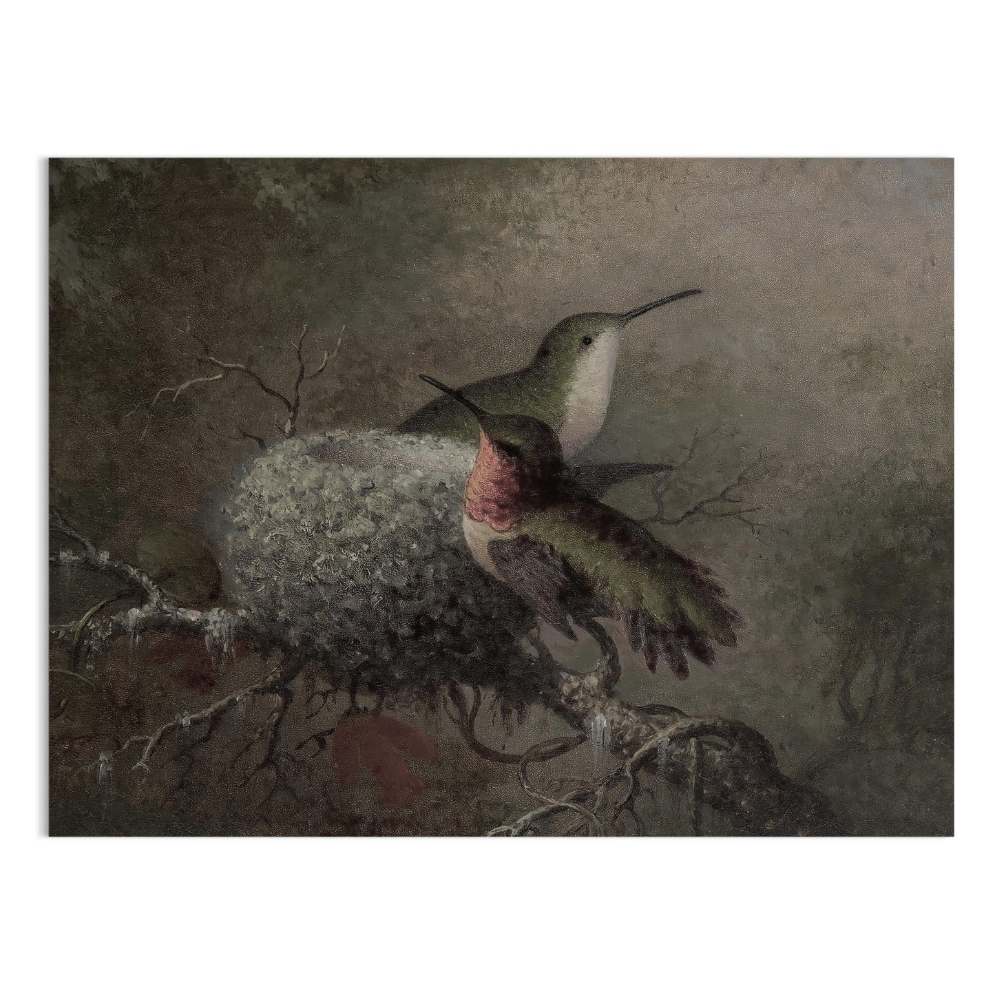 Premium Poster of Beautiful Hummingbirds in Nature Wall Art Posters