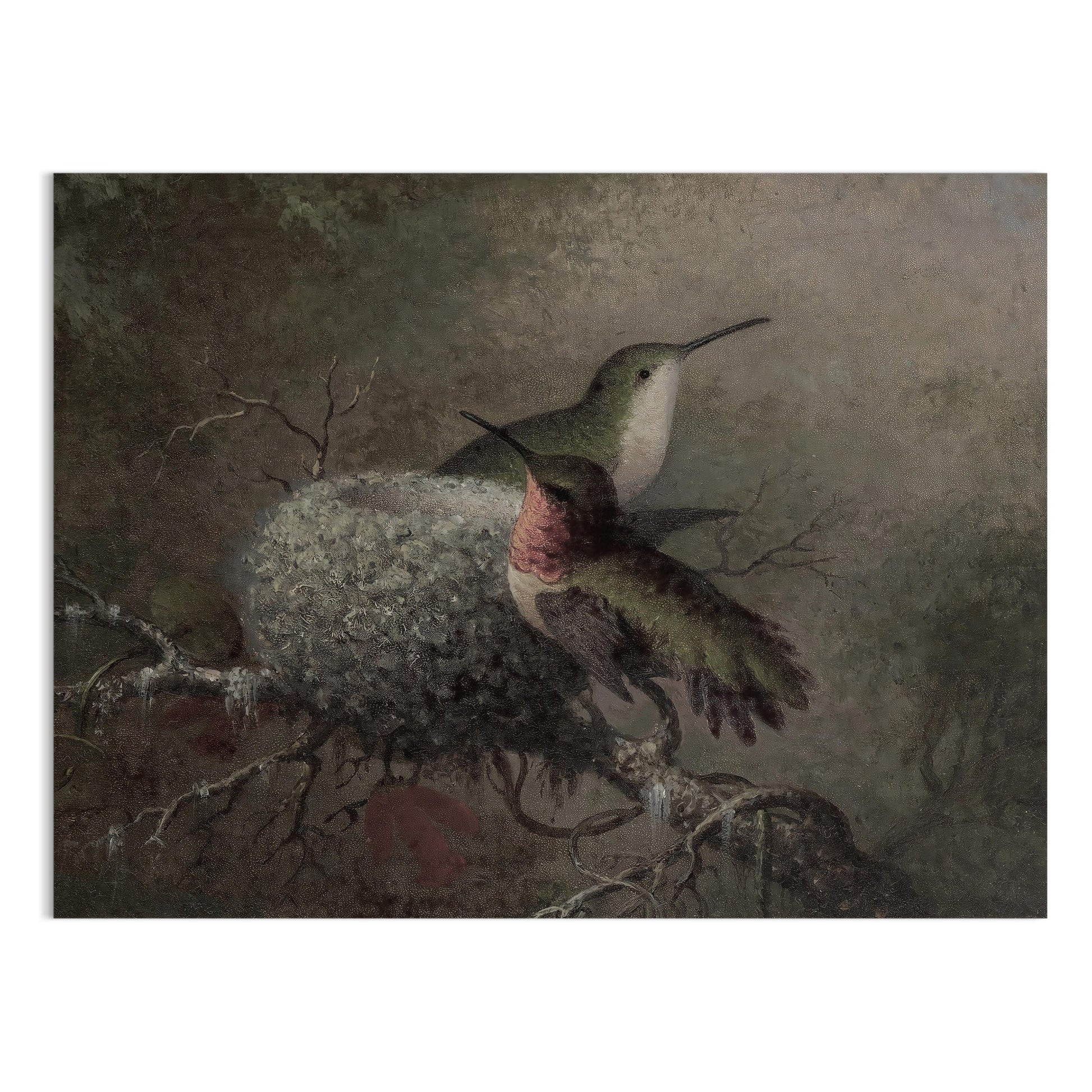 Premium Poster of Beautiful Hummingbirds in Nature Wall Art Posters