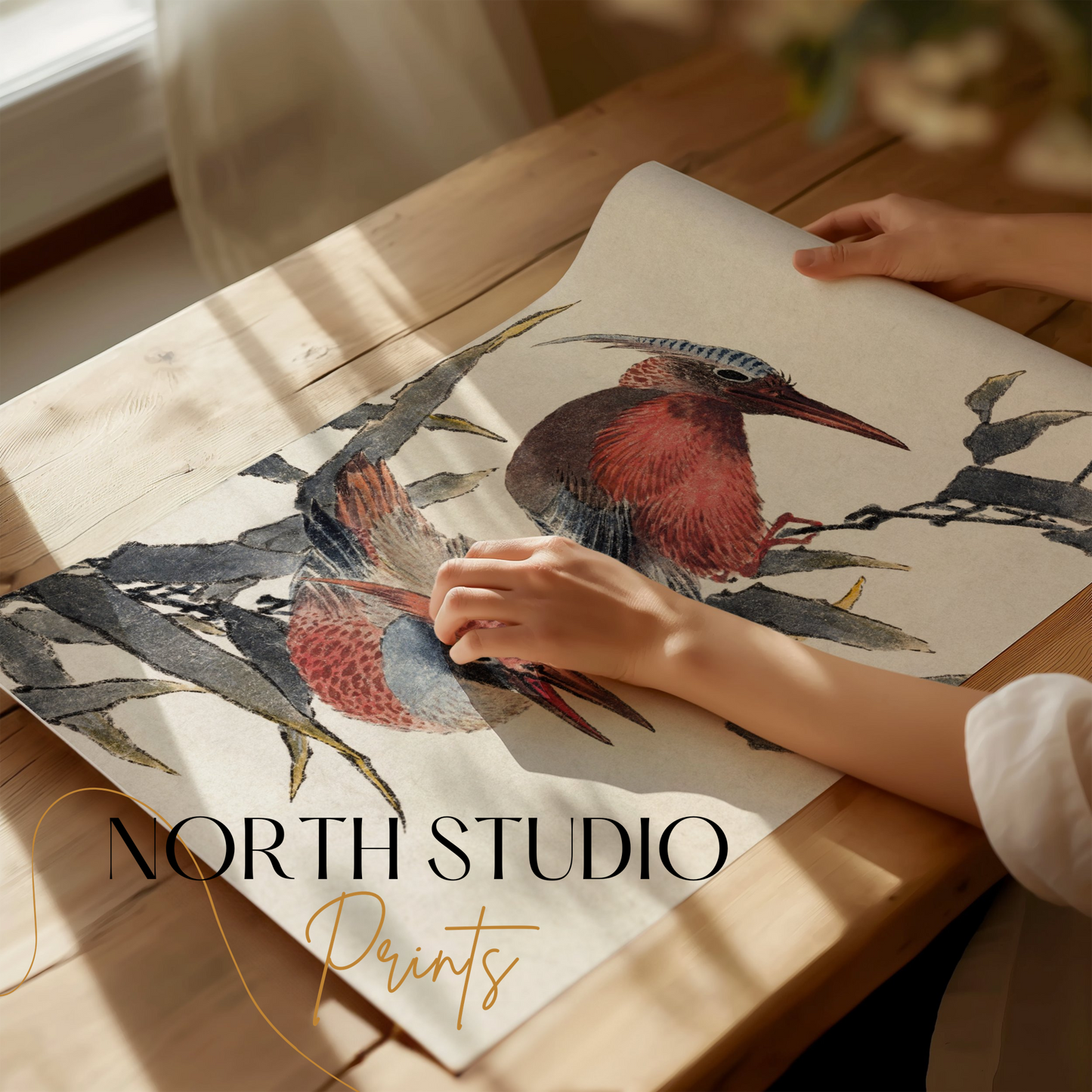 Premium Poster of Beautiful Illustration of Colorful Birds Print Posters