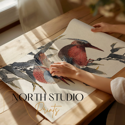 Premium Poster of Beautiful Illustration of Colorful Birds Print Posters