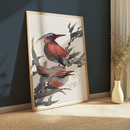 Premium Poster of Beautiful Illustration of Colorful Birds Print Posters