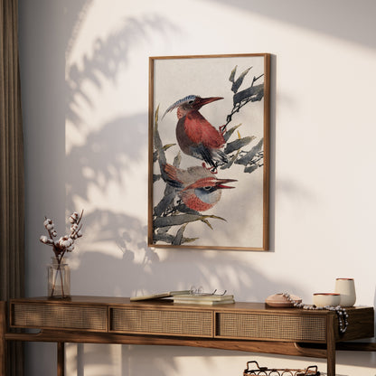 Premium Poster of Beautiful Illustration of Colorful Birds Print Posters
