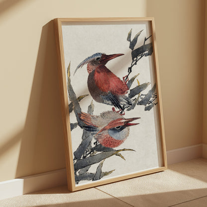 Premium Poster of Beautiful Illustration of Colorful Birds Print Posters