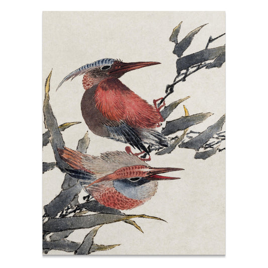Premium Poster of Beautiful Illustration of Colorful Birds Print Posters