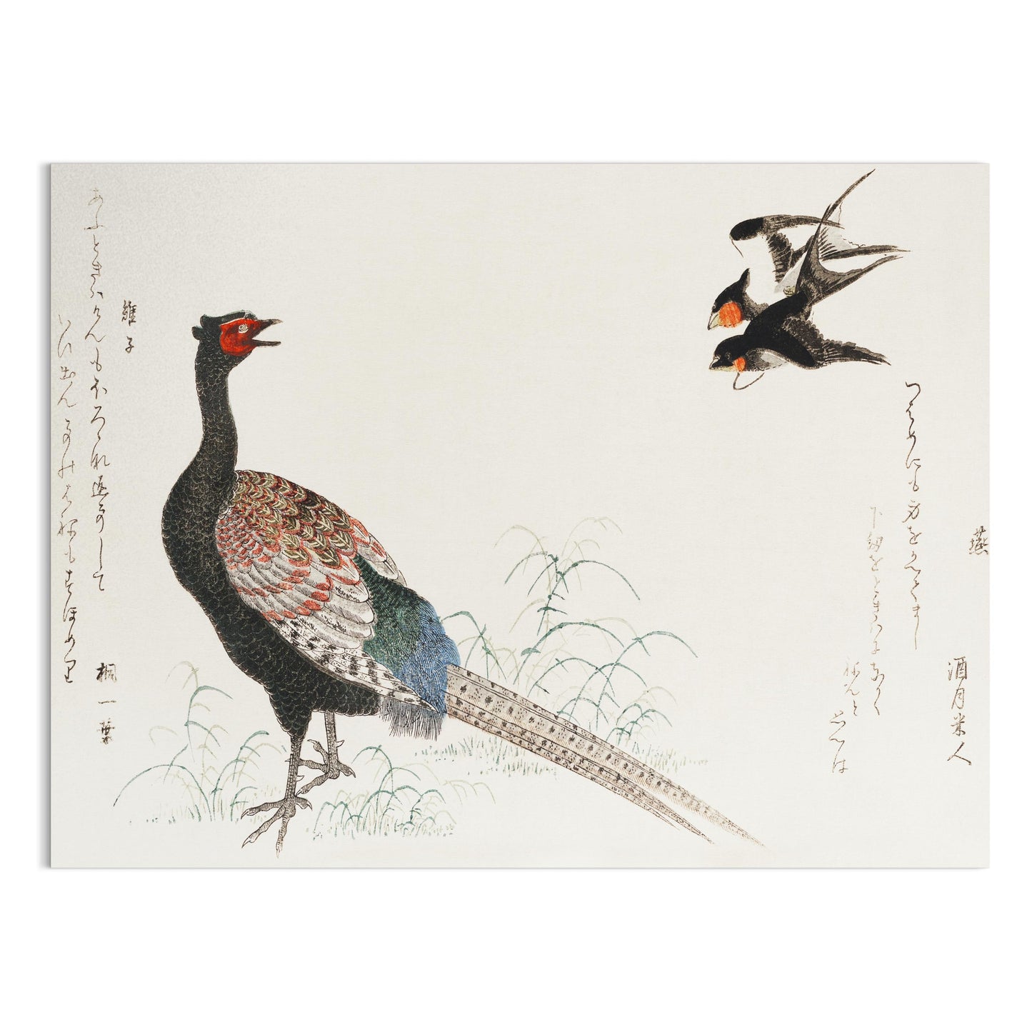 Premium Poster of Beautiful Japanese Art of Pheasant and Birds Posters