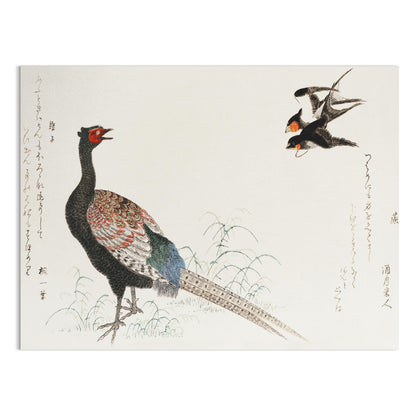 Premium Poster of Beautiful Japanese Art of Pheasant and Birds Posters