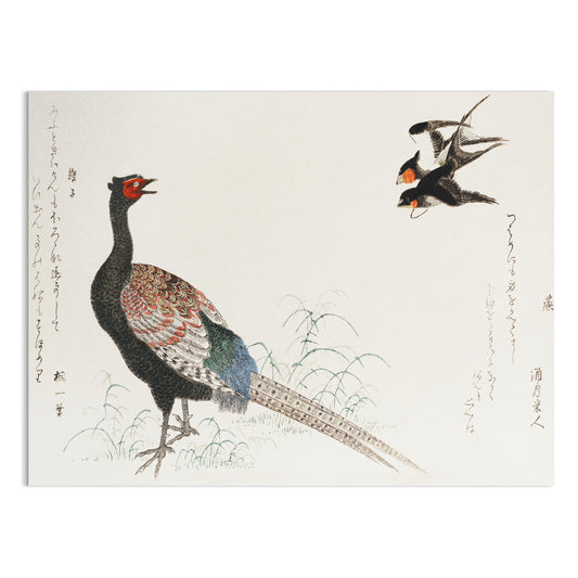 Premium Poster of Beautiful Japanese Art of Pheasant and Birds Posters