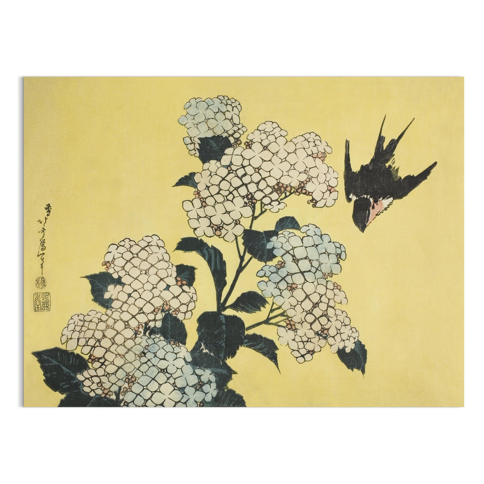 Premium Poster of Beautiful Japanese Bird and White Flowers Art Posters