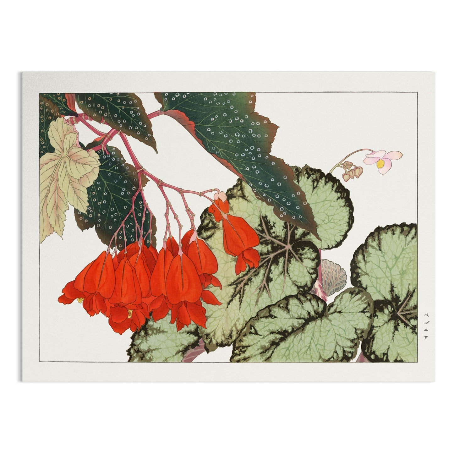 Premium Poster of Beautiful Japanese Botanical Art Design Wall Posters