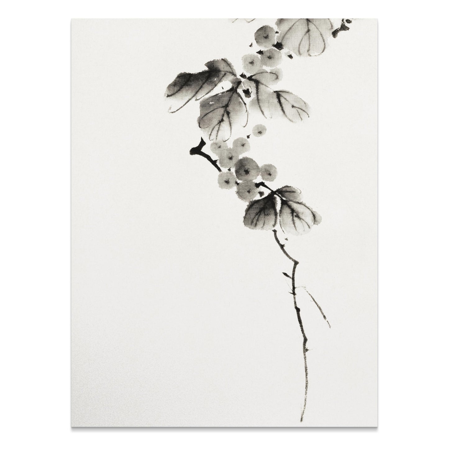 Premium Poster of Beautiful Japanese Minimalist Floral Art Posters