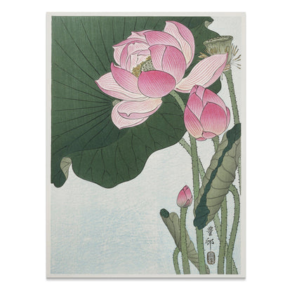 Premium Poster of Beautiful Lotus Blossoms Japanese Art Decorative Posters