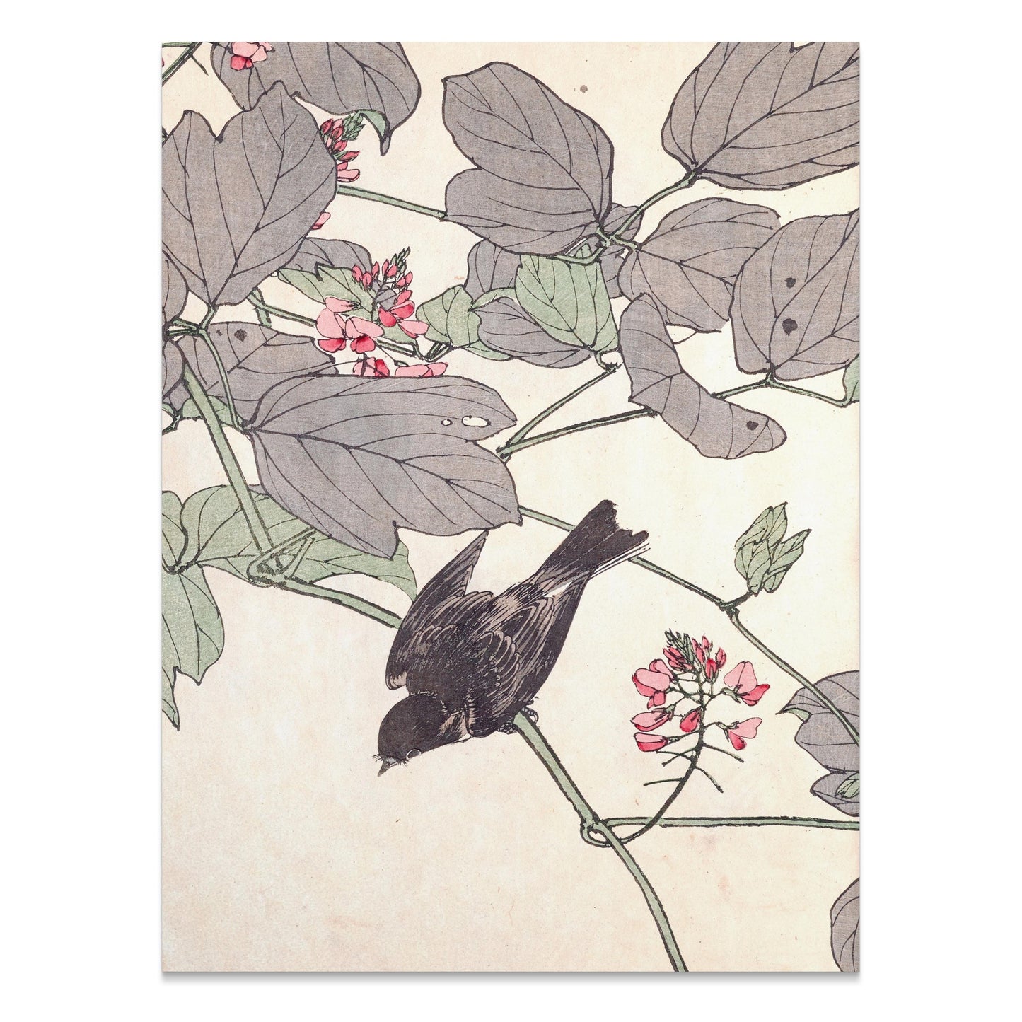 Premium Poster of Beautiful Nature Bird with Flowers Art Posters