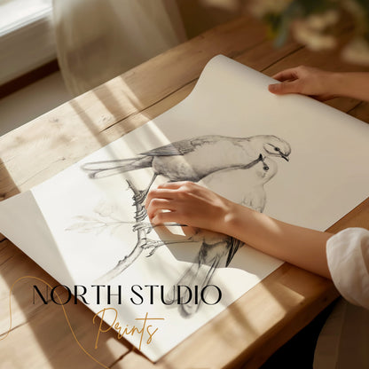 Premium Poster of Beautiful Pair of Birds Artwork Illustration Posters
