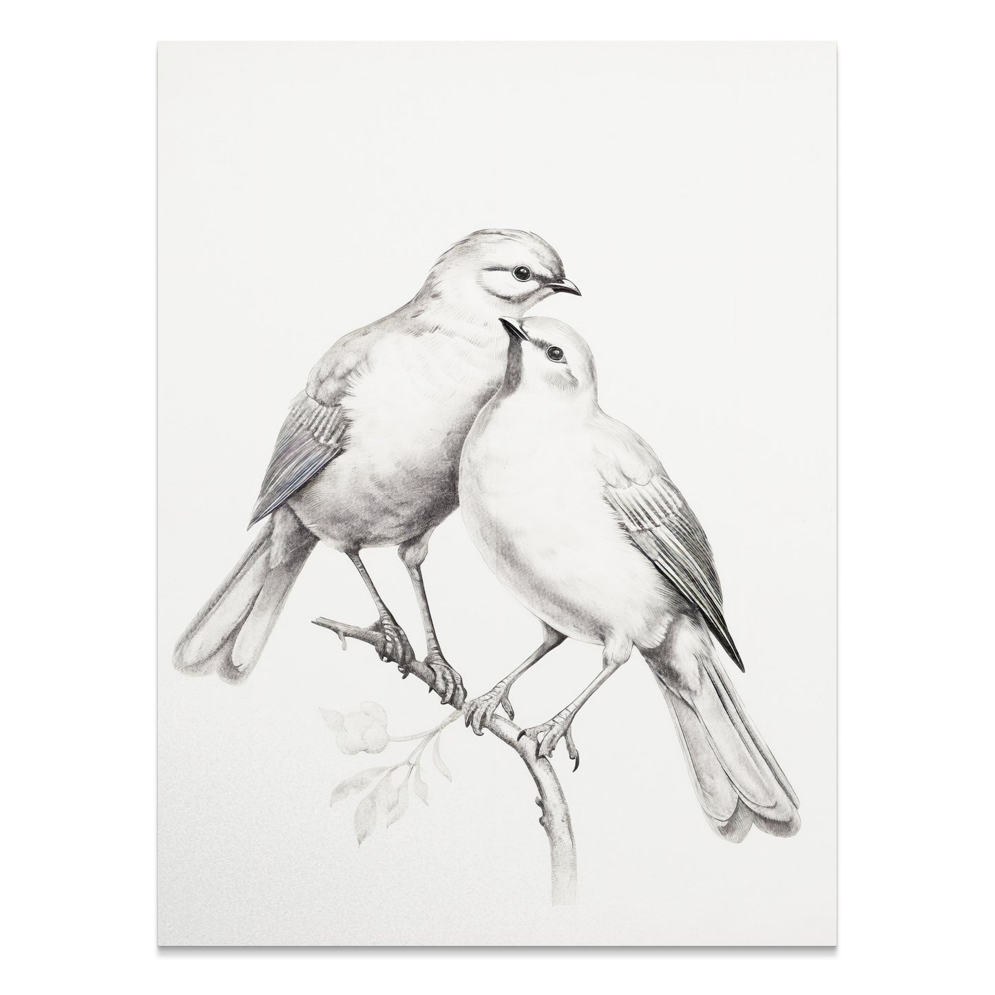 Premium Poster of Beautiful Pair of Birds Artwork Illustration Posters