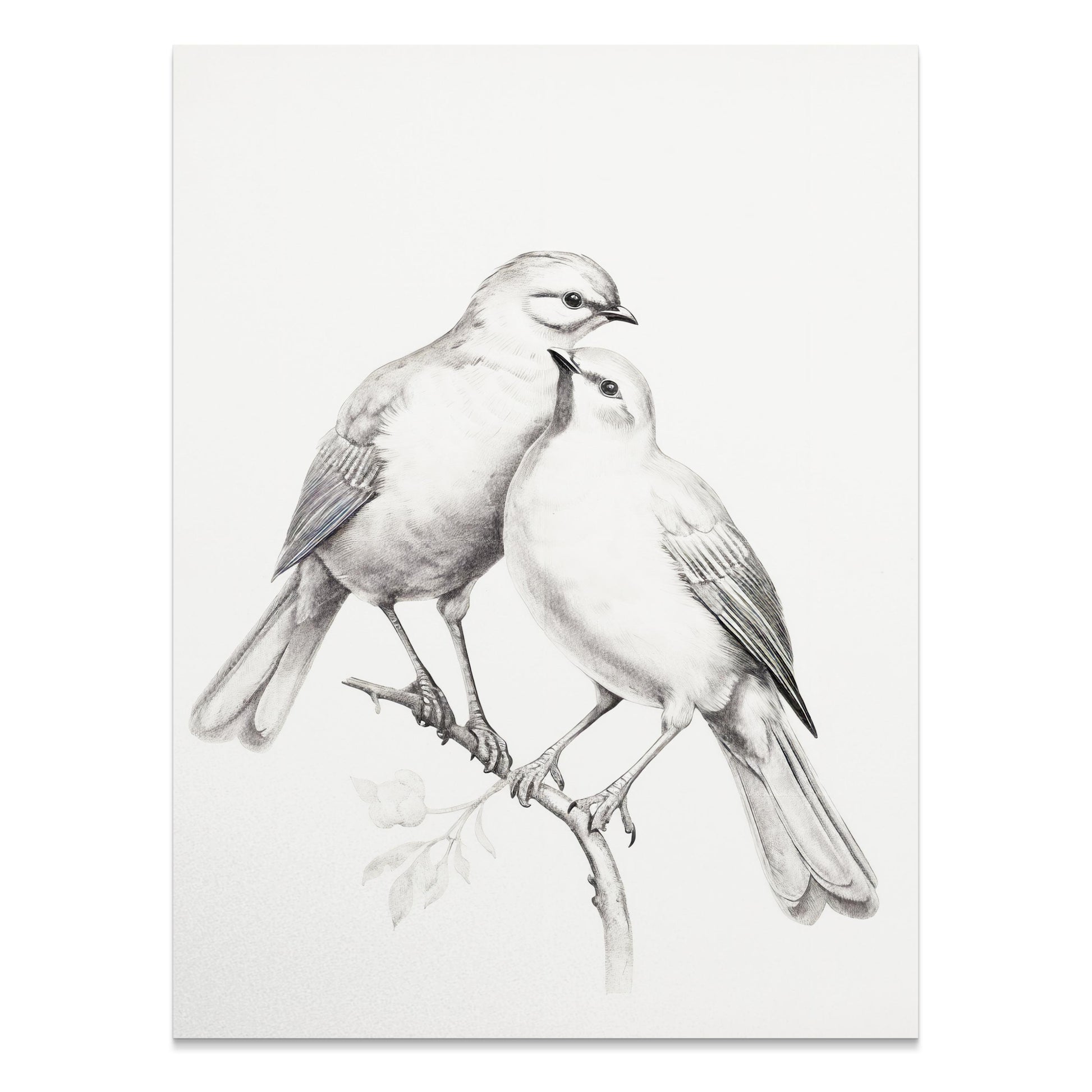 Premium Poster of Beautiful Pair of Birds Artwork Illustration Posters