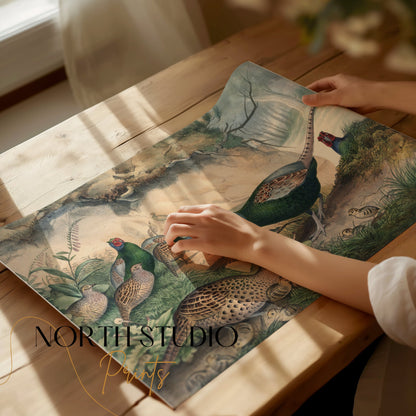 Premium Poster of Beautiful Pheasant and Chicks Nature Scene Posters