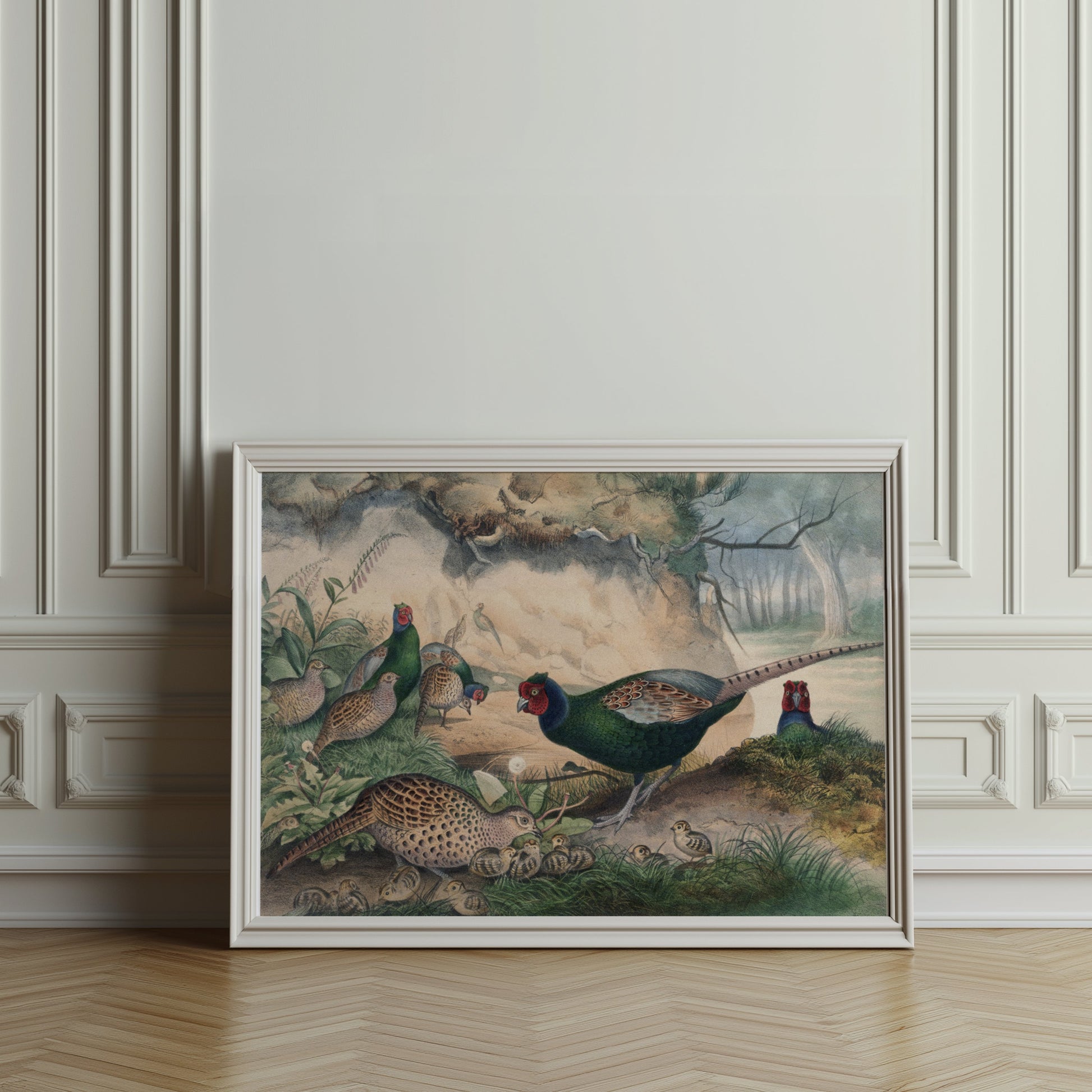 Premium Poster of Beautiful Pheasant and Chicks Nature Scene Posters